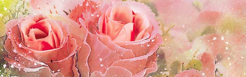 �������L�����f�B�̈��S�T�C�g